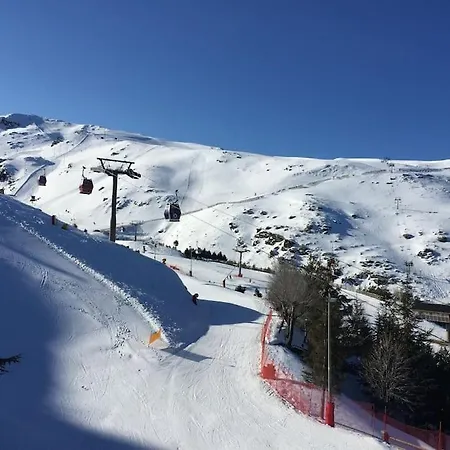 Appartement Sunny Impala En *