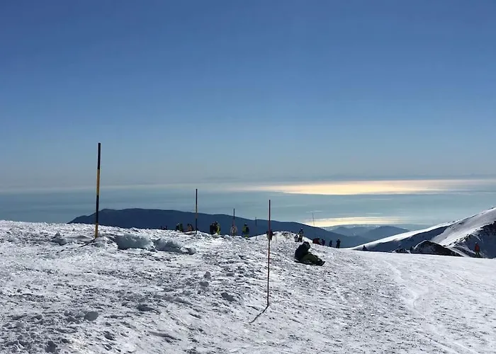 Sunny Impala En Lejlighed Sierra Nevada