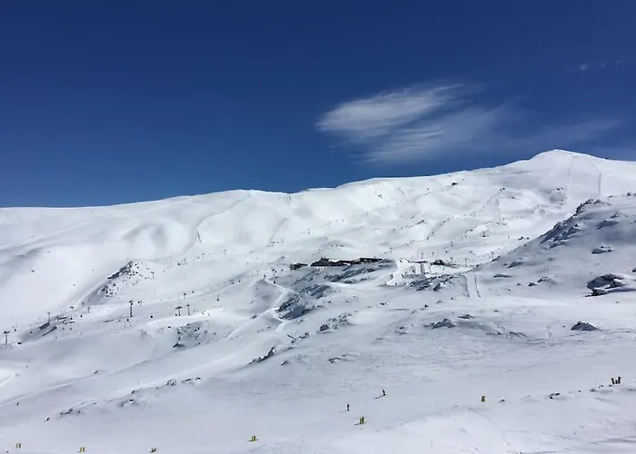 Sunny Impala En Lejlighed *