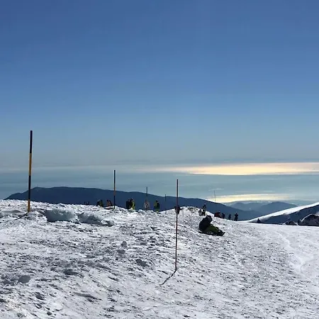 Sunny Impala En Apartamento Sierra Nevada